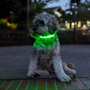  Green Light
