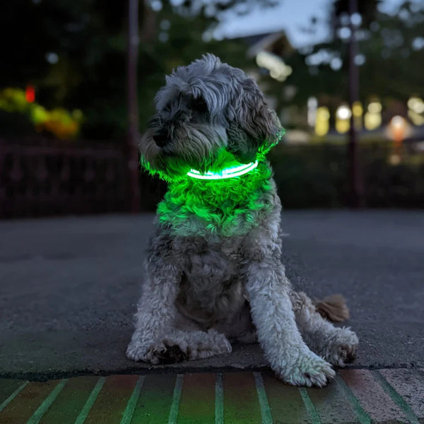 VOREL NightSafe LED Dog Collar